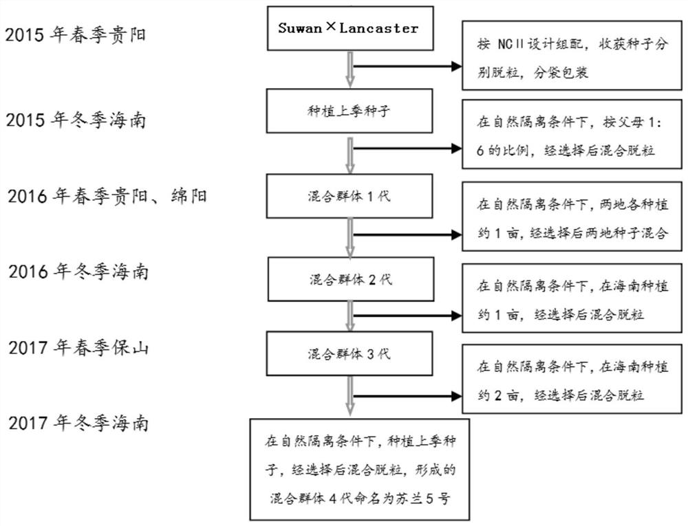 Artificial method of maize population for genetic breeding