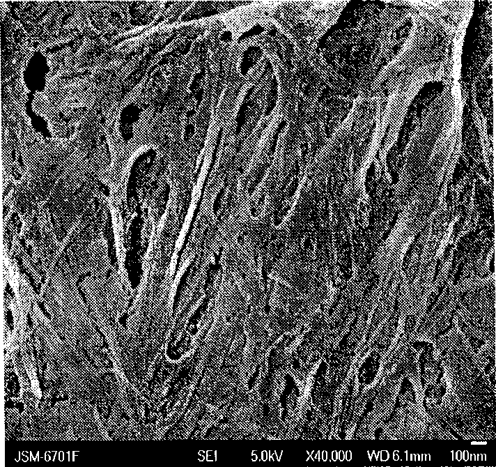 Anion receptor based on nitrofuran formyl hydrazone and phenolic hydroxyl and preparation and use of organagel thereof