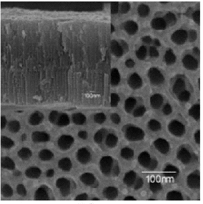 MnS/TiO2 composite nanotube array film for photo-induced cathodic protection and preparation and application thereof