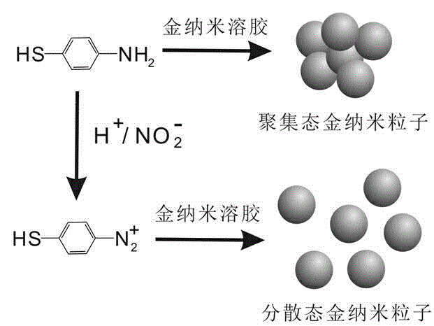 Quick nitrite detection method based on nanogold
