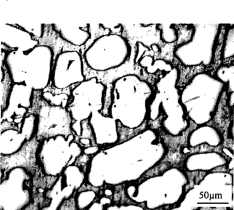 Method for preparing copper porous material