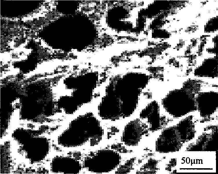 Method for preparing copper porous material