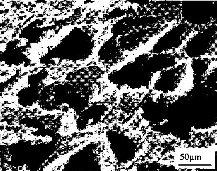 Method for preparing copper porous material