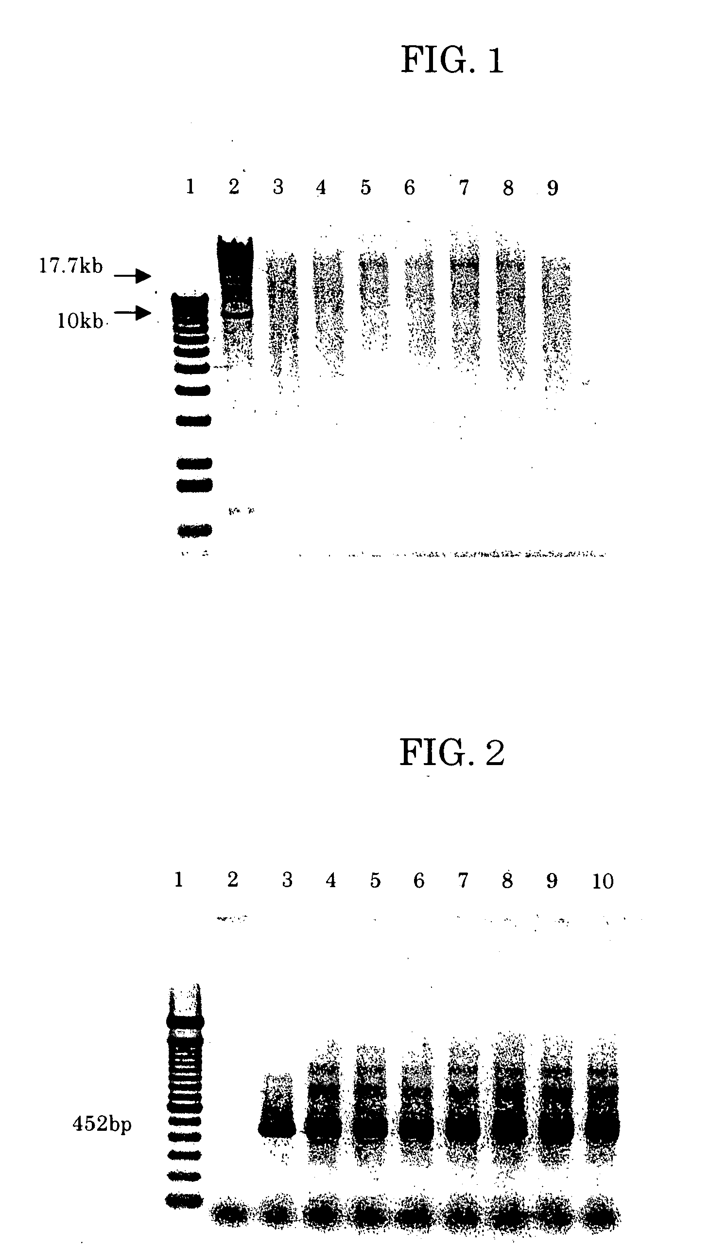 Method of purifiying nucleic acid using nonwoven fabric and detection method