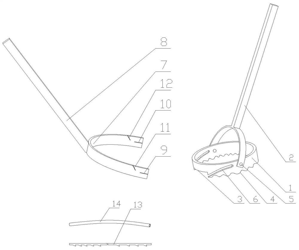 Combined type operation excision device for pterygium