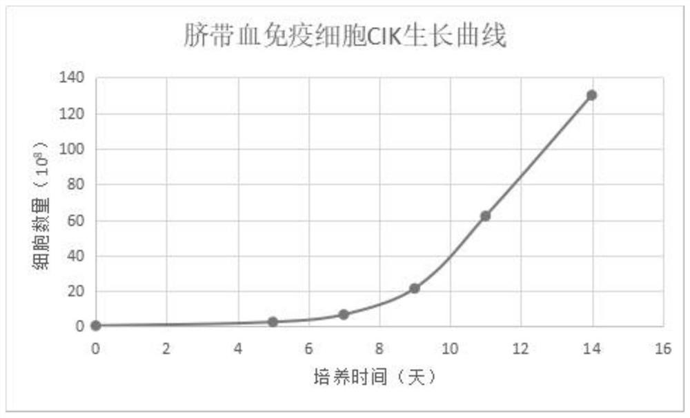 A kind of culture method of umbilical cord blood lymphocyte cik