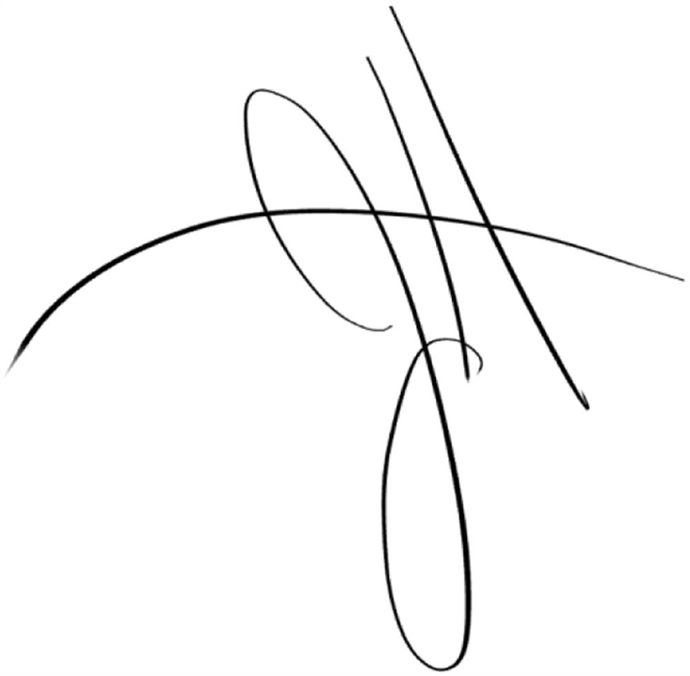 A handwritten signature method suitable for ios application
