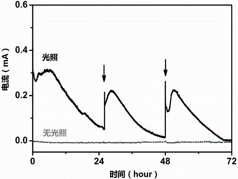 System and method for reducing CO2 to produce methane through microorganism/photoelectric-coupling