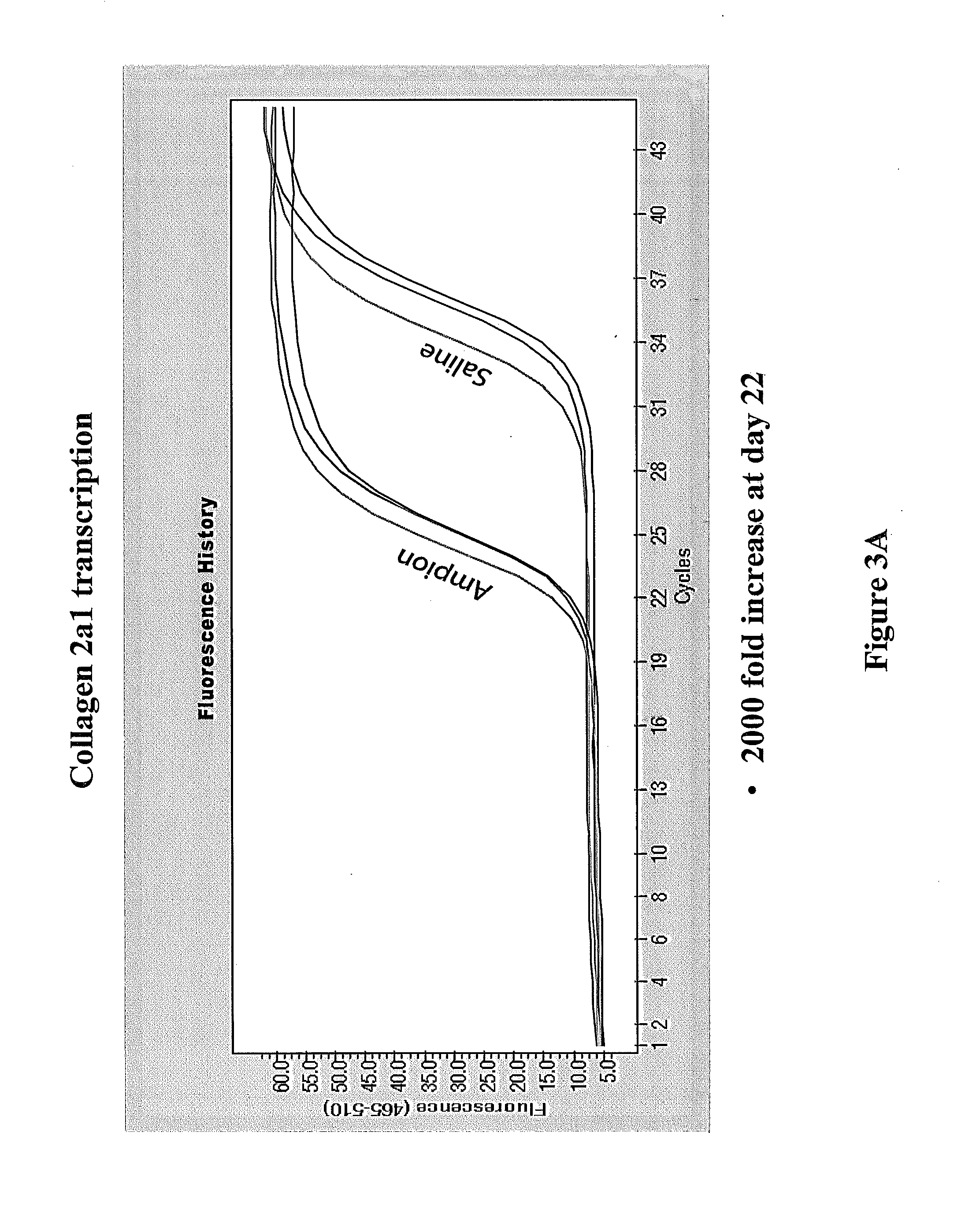 Compositions for the mobilization, homing, expansion and differentiation of stem cells and methods of using the same