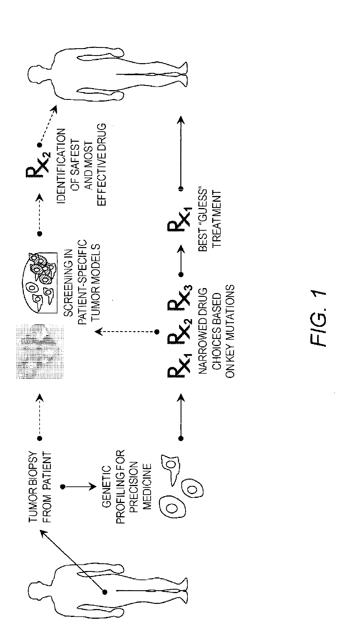 Cancer modeling platforms and methods of using the same