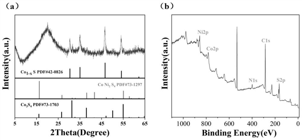 Method for preparing CoNi-S-coated 3D-C nano composite material and modified battery diaphragm