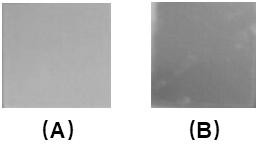 A kind of preparation method of cubic gold nano-sers probe for tnt detection