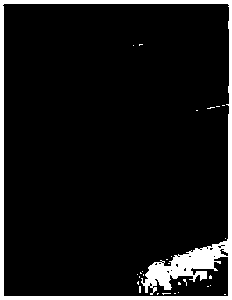 Organic functional group modified or unmodified nickel-containing or nickel-free silica-supported ruthenium catalyst and its preparation method and application