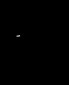 Anti-white-spot-syndrome-virus transgenic algae strain as well as preparation method and application thereof