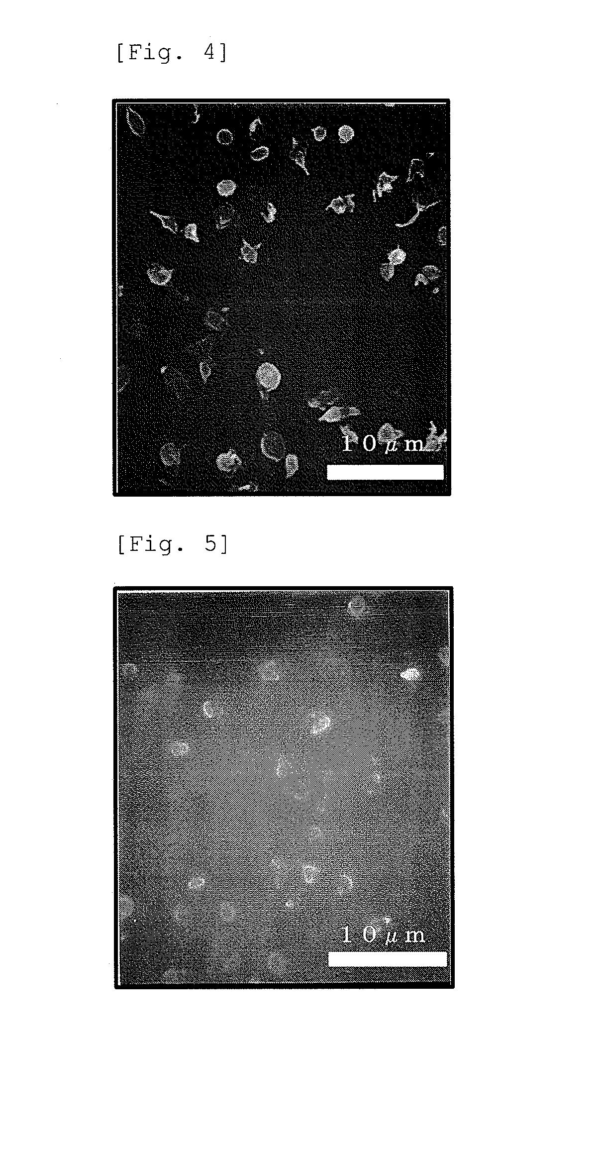 (METH)acrylate copolymer, a method for producing the same and a medical device