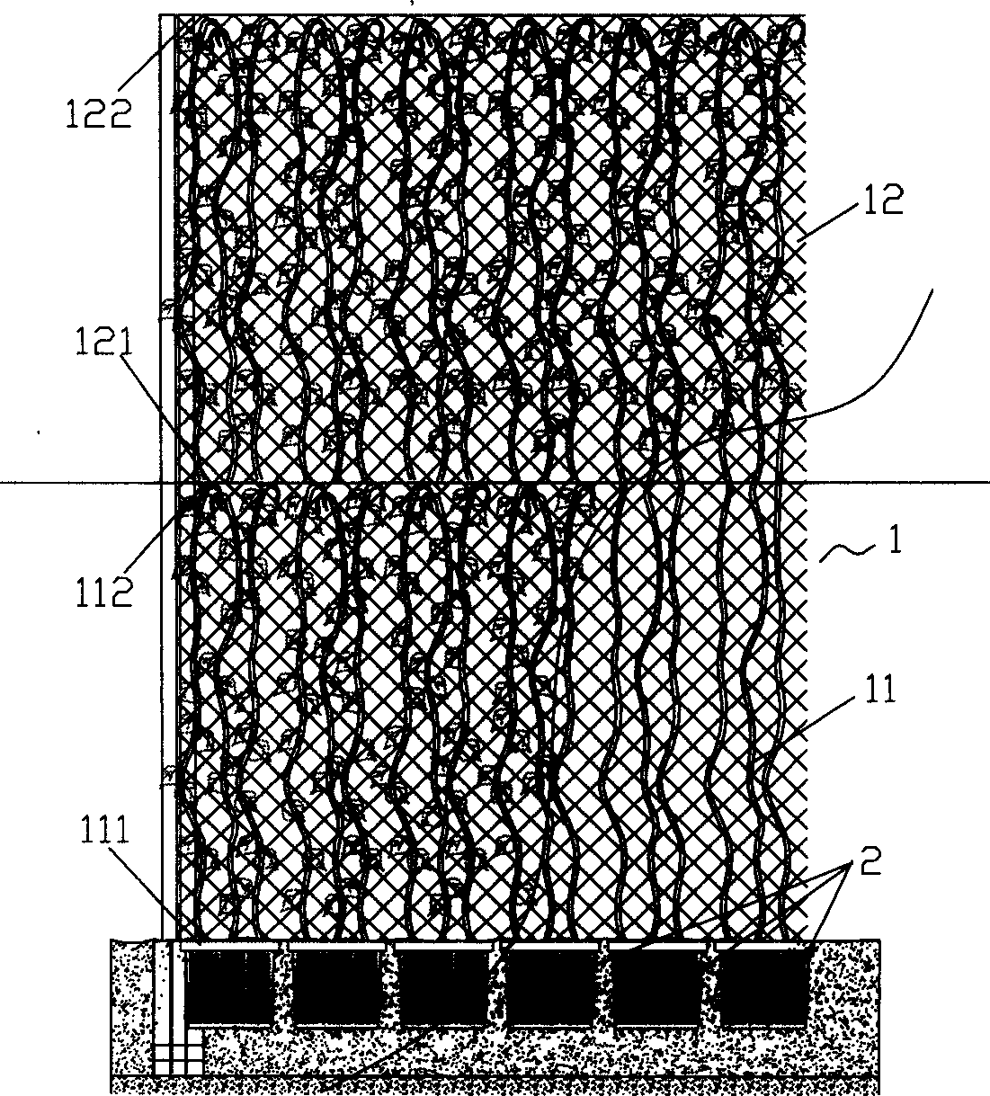 Vine plant veneer member and its production method and using method