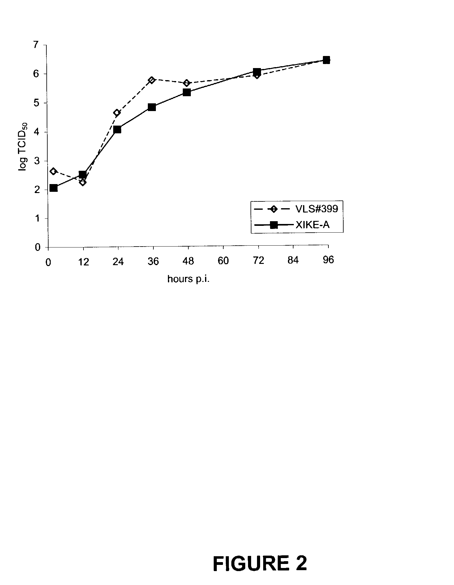 Infectious bovine viral diarrhea virus clone