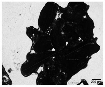 Isatis root reconstituted tobacco, preparation method and application thereof