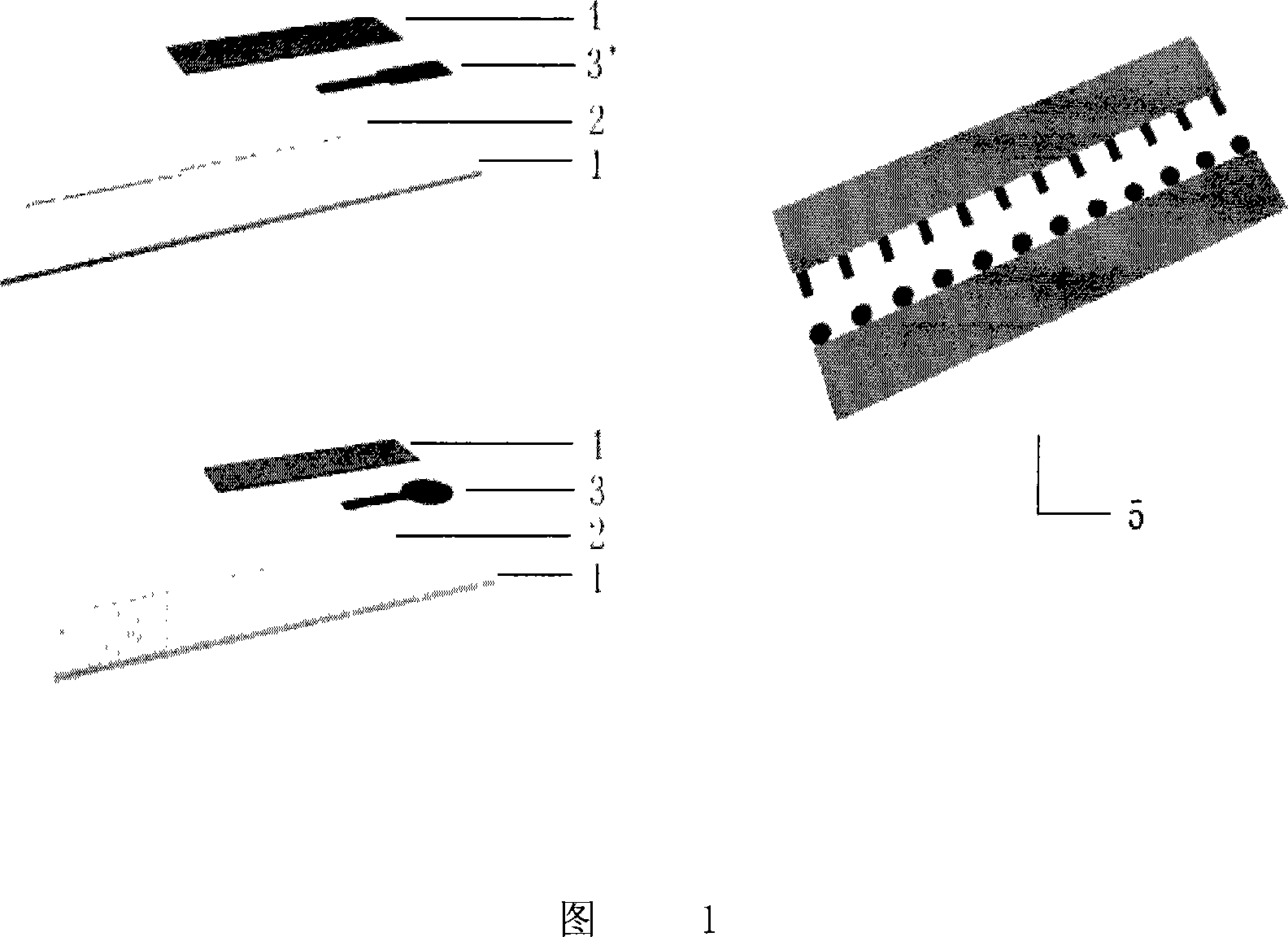 DNA biosensor electrode manufacture method and uses thereof