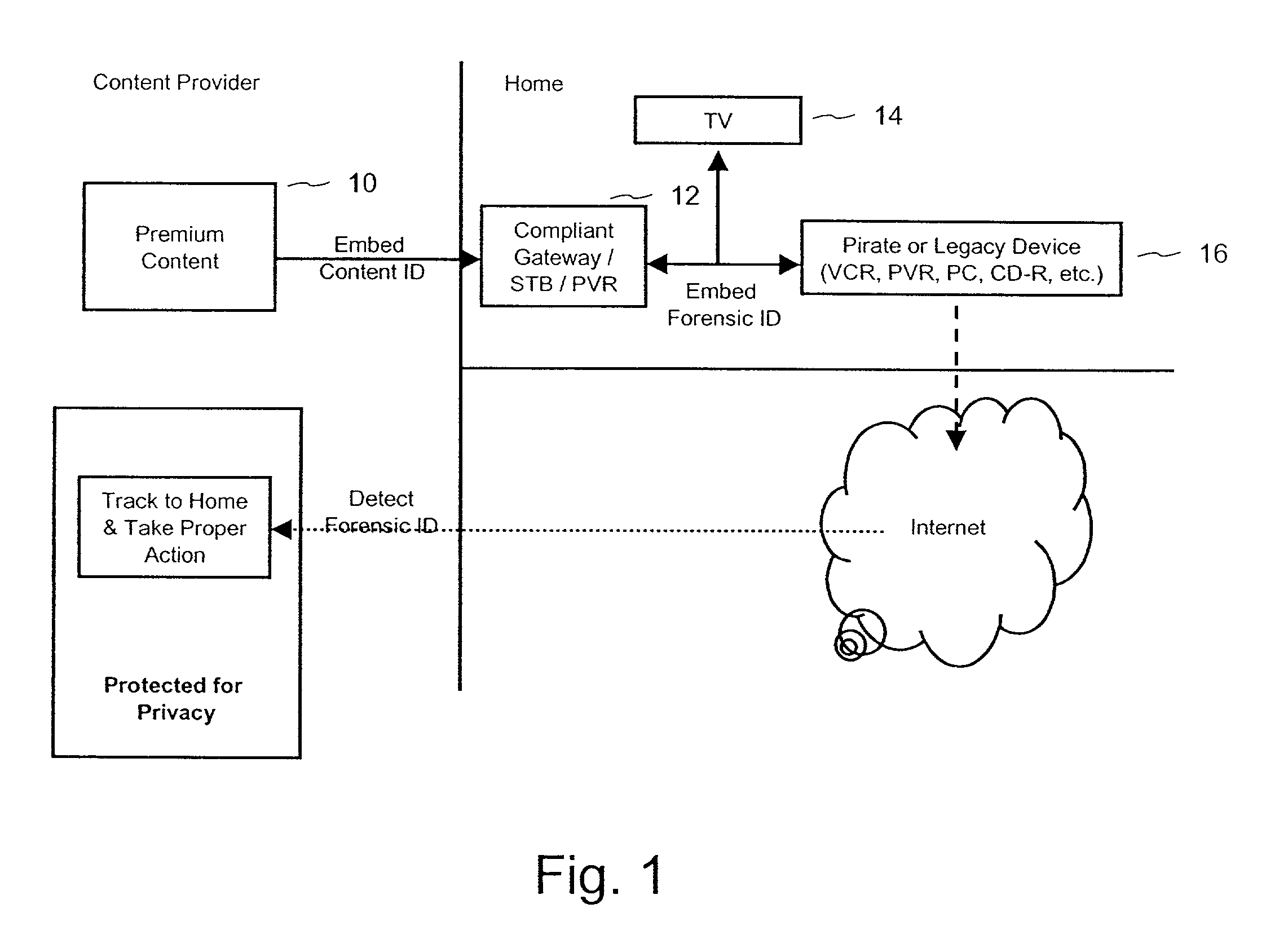 Forensic digital watermarking with variable orientation and protocols