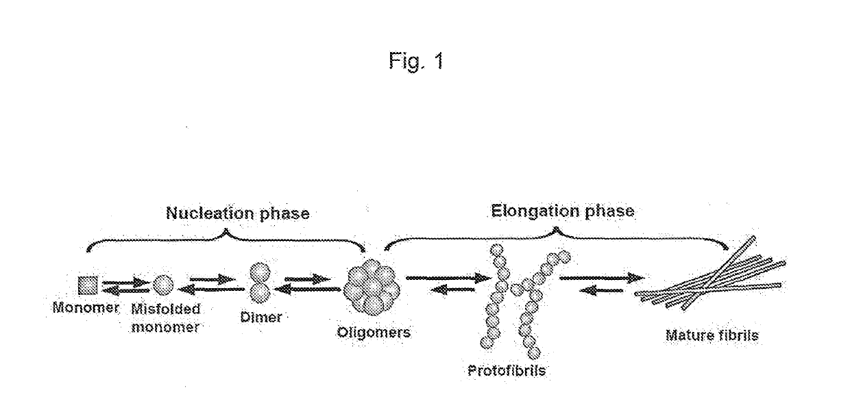 Novel amyloid beta oligomer specific binding molecule