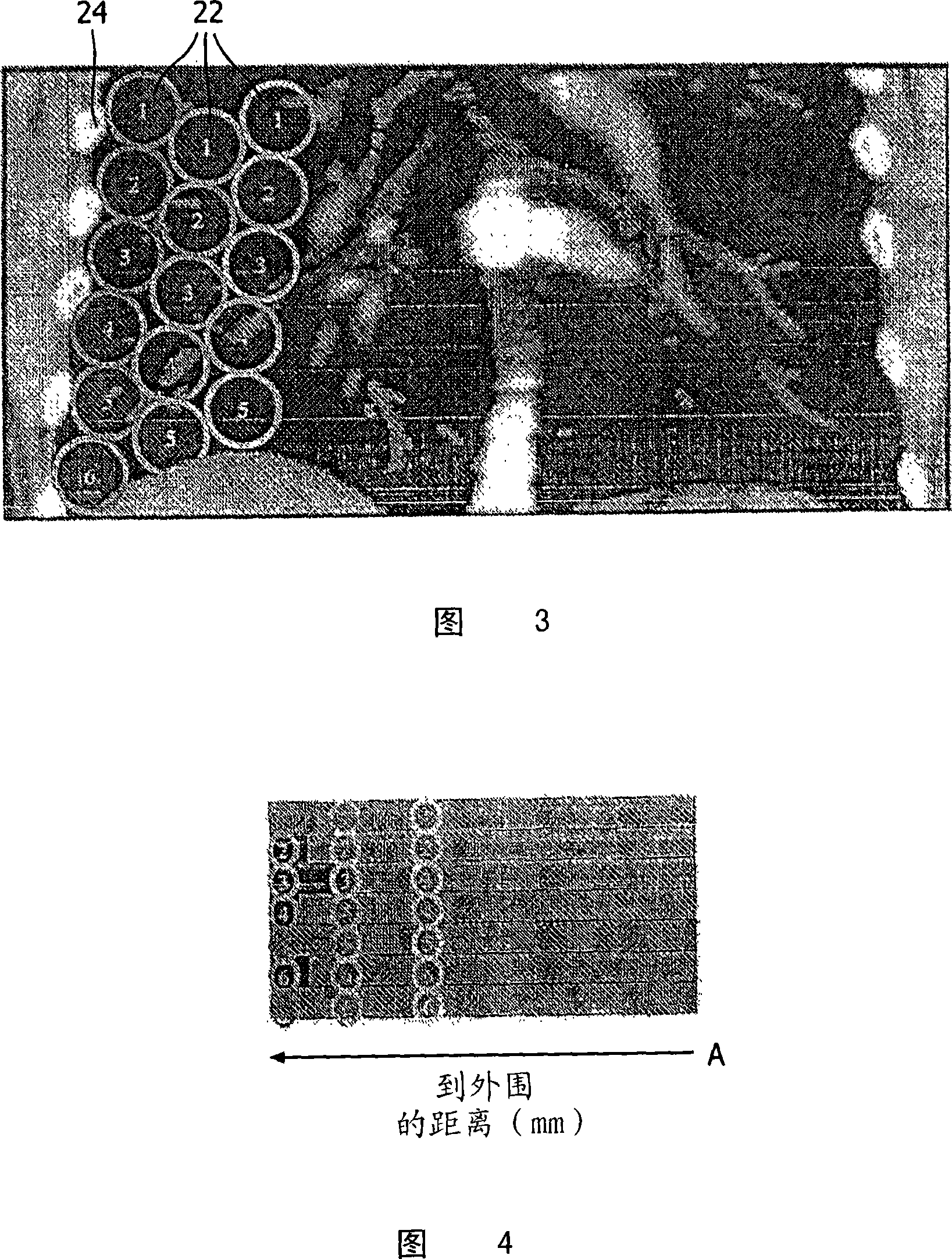 Apparatus and method for providing 2D representation of 3D image data representing an anatomical lumen tree structure