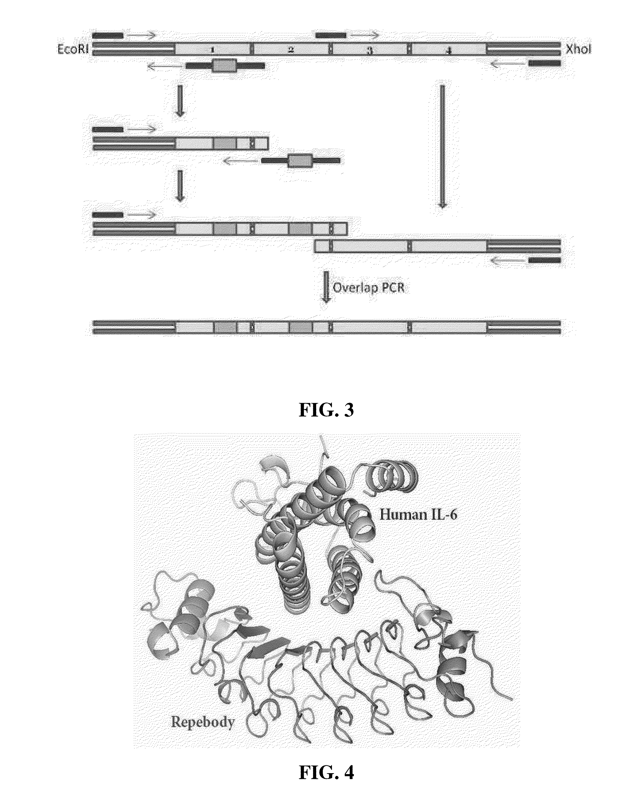 Method for improving repebody containing repeat modules