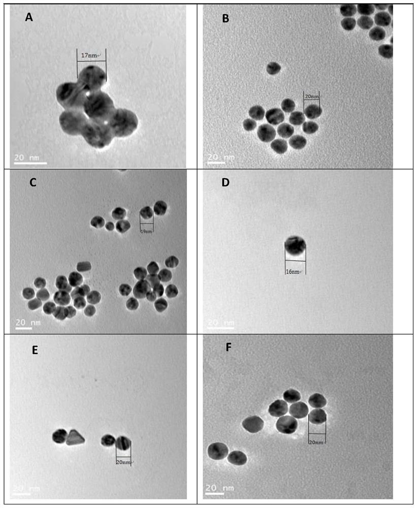 Gold nanoparticles with uniform particle size extracted based on sodium citrate reduction method and preparation method of gold nanoparticles