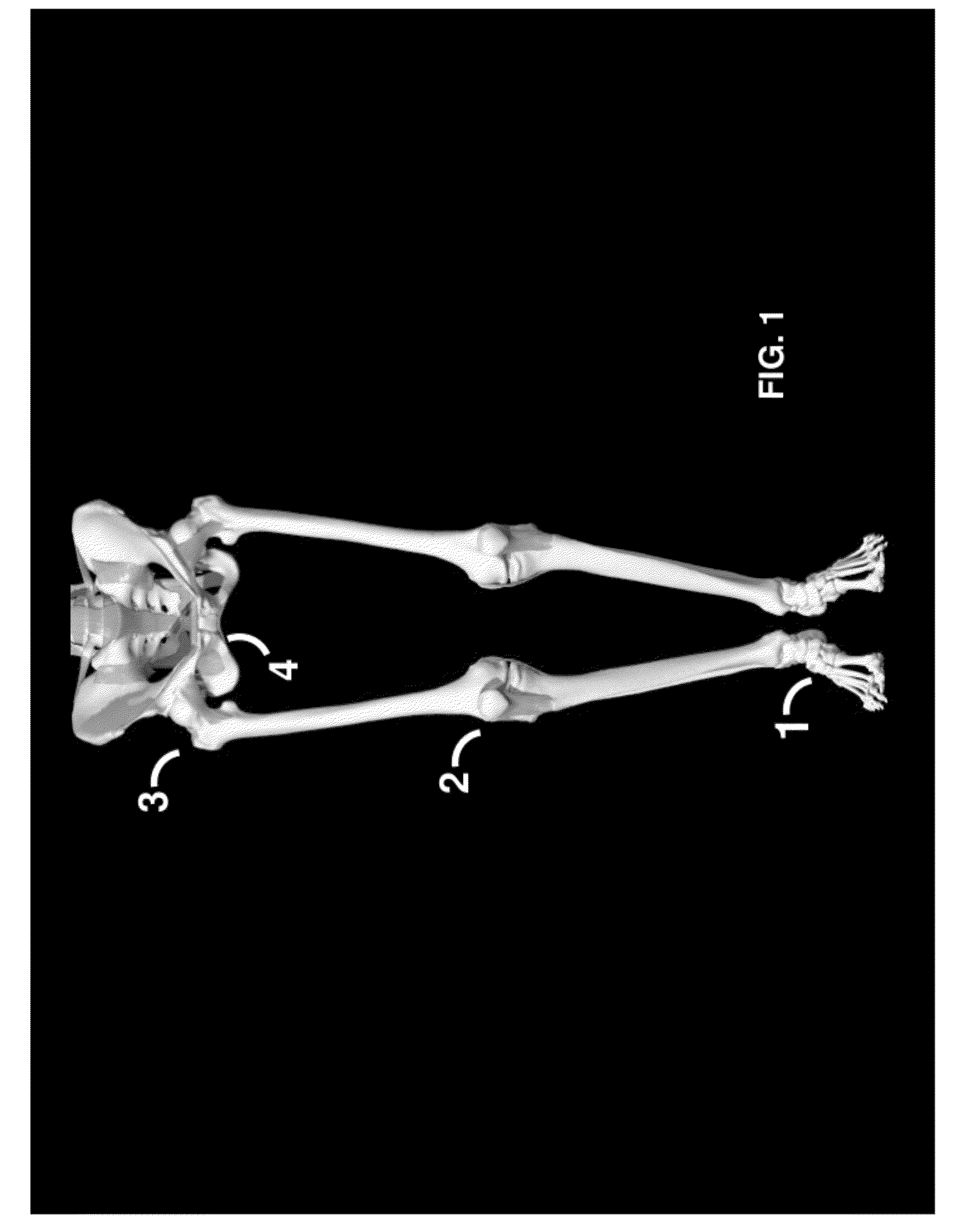 Method and system for treating patients