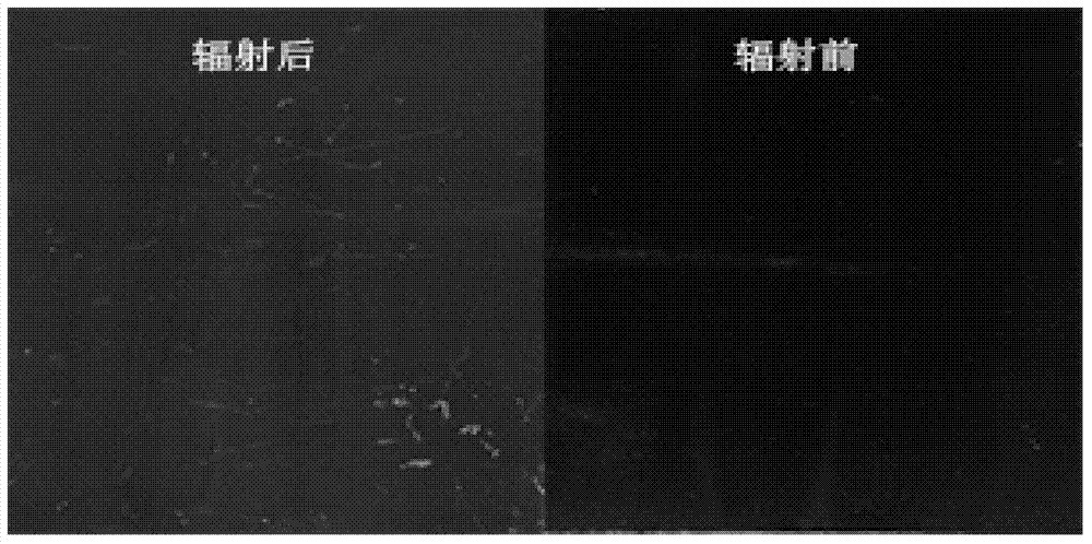 High temperature resistant anti-corrosion anti-nuclear radiation nano-modified organosilicon coating and its preparation and application