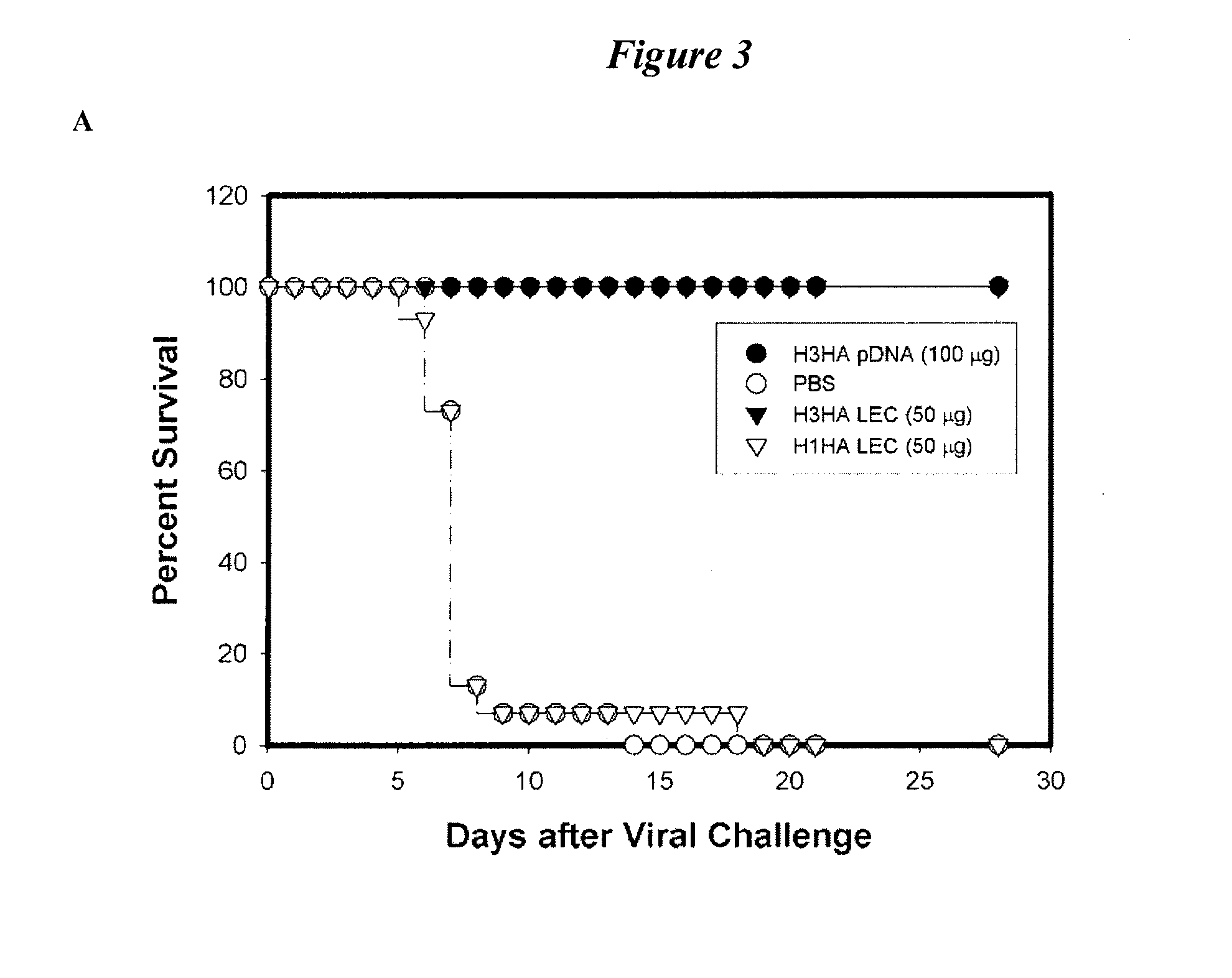 Linear expression cassette vaccines