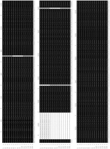 Molecular marker primer and method used for identification of prunus pedunculata, prunus mongolica, and prunus triloba