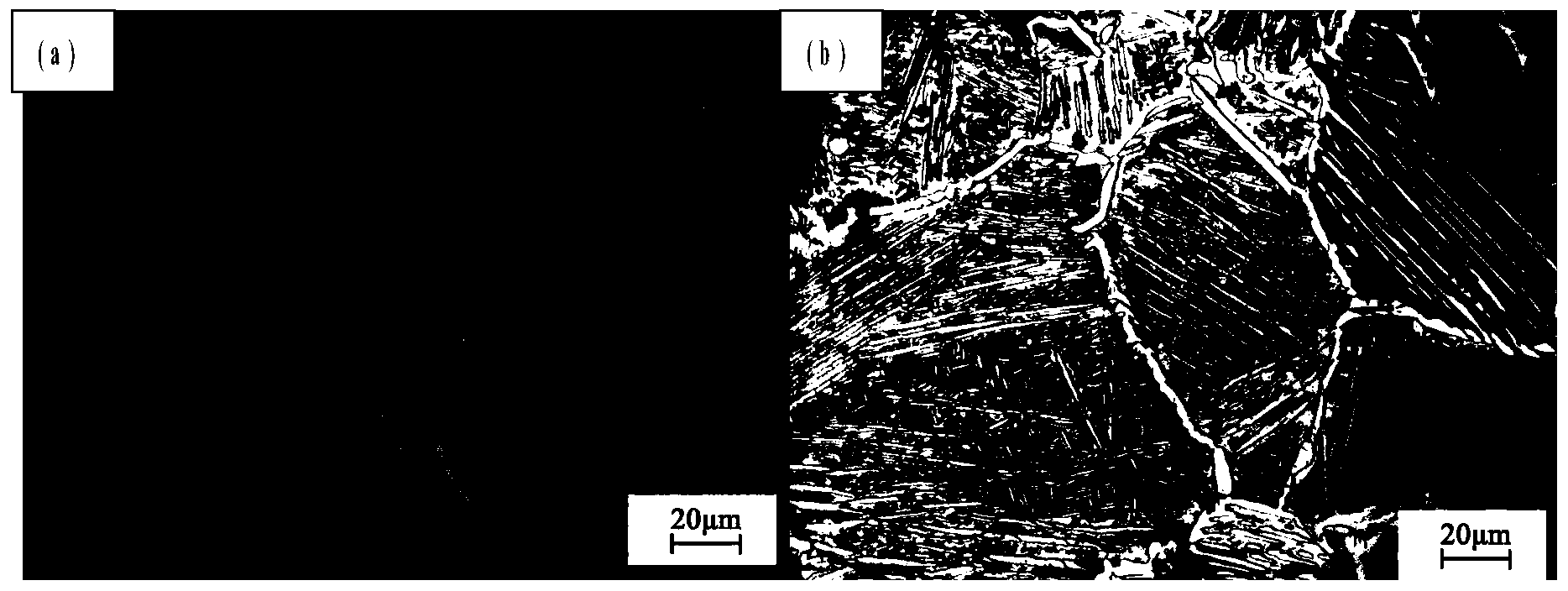 Ti-Nb-O memory alloy having high recoverable strain and preparation method thereof