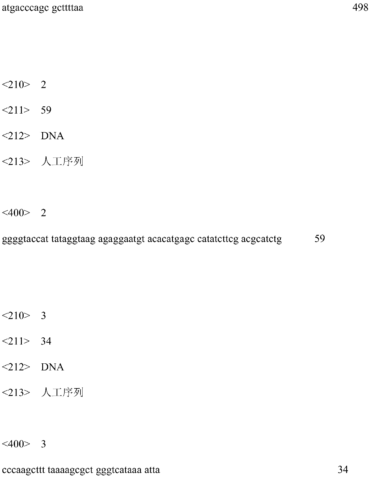 A kind of recombinant Bacillus subtilis accumulating acetylglucosamine and its application