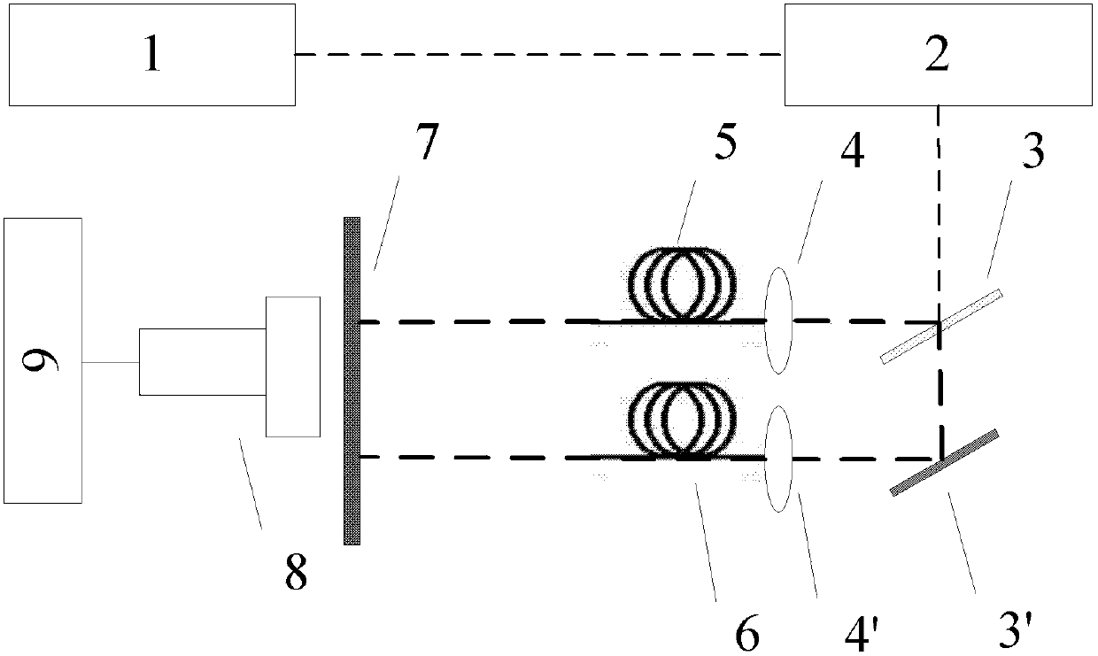 Gating fluorescence service life imaging device based on light delay