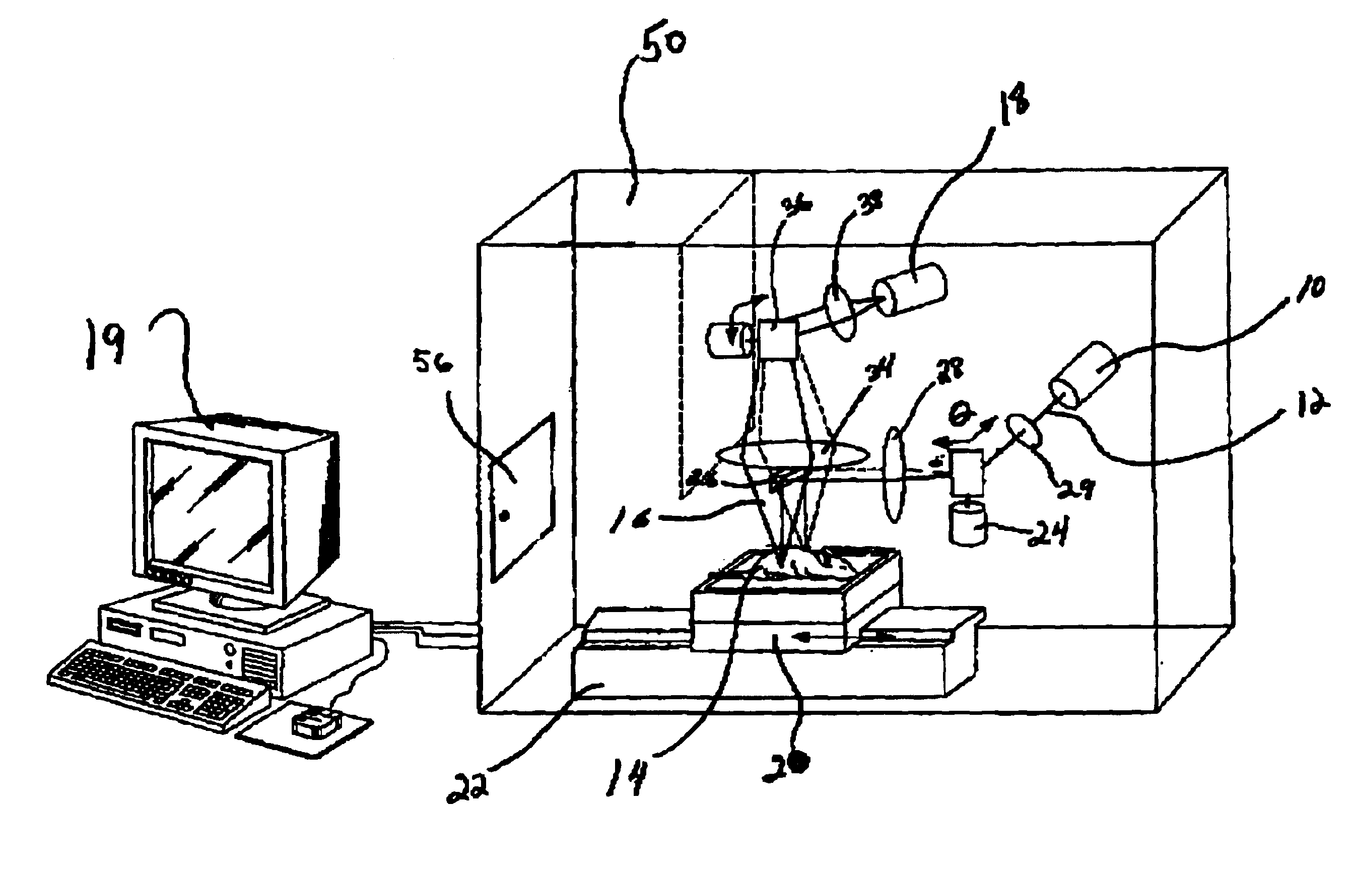Method and apparatus for time resolved optical imaging of biological tissues as part of animals