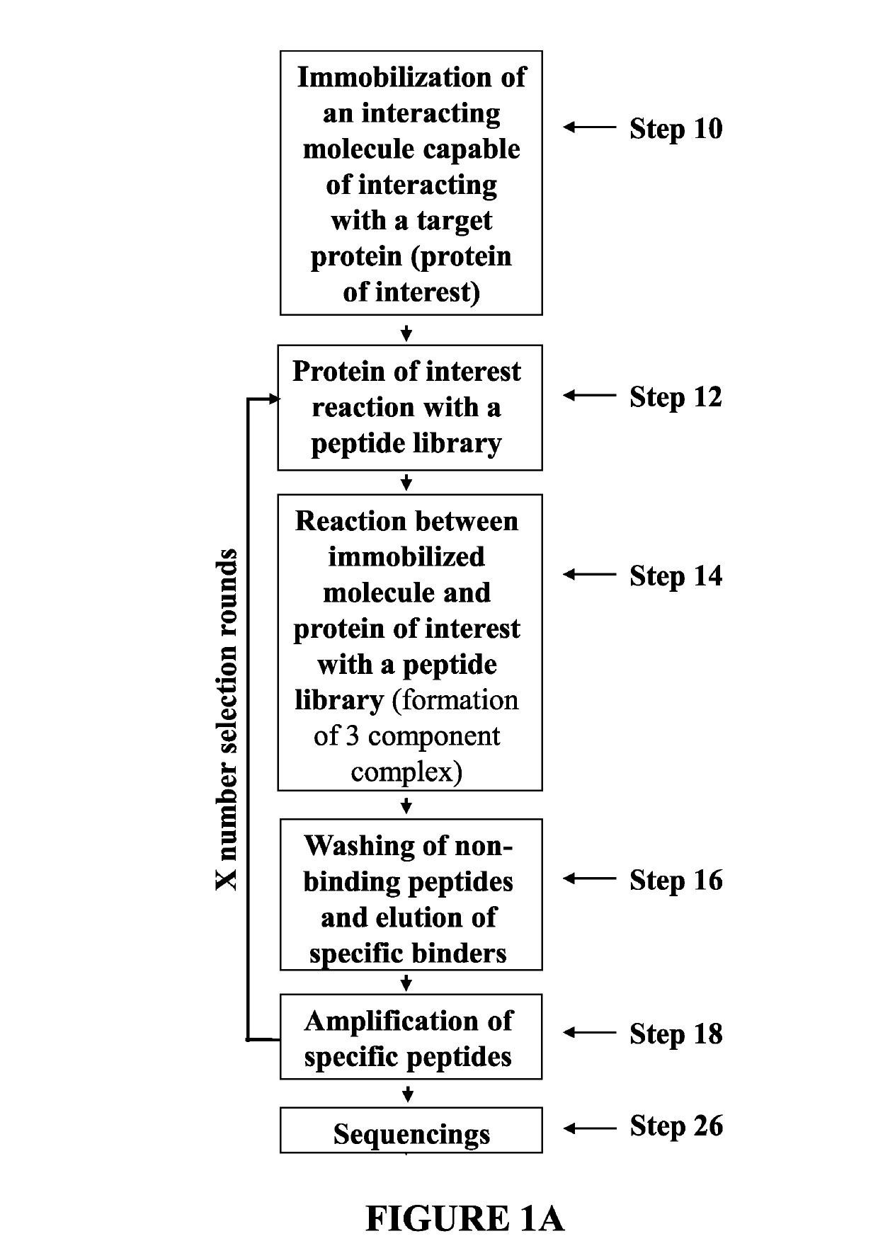 Peptides capable of reactivating p53 mutants