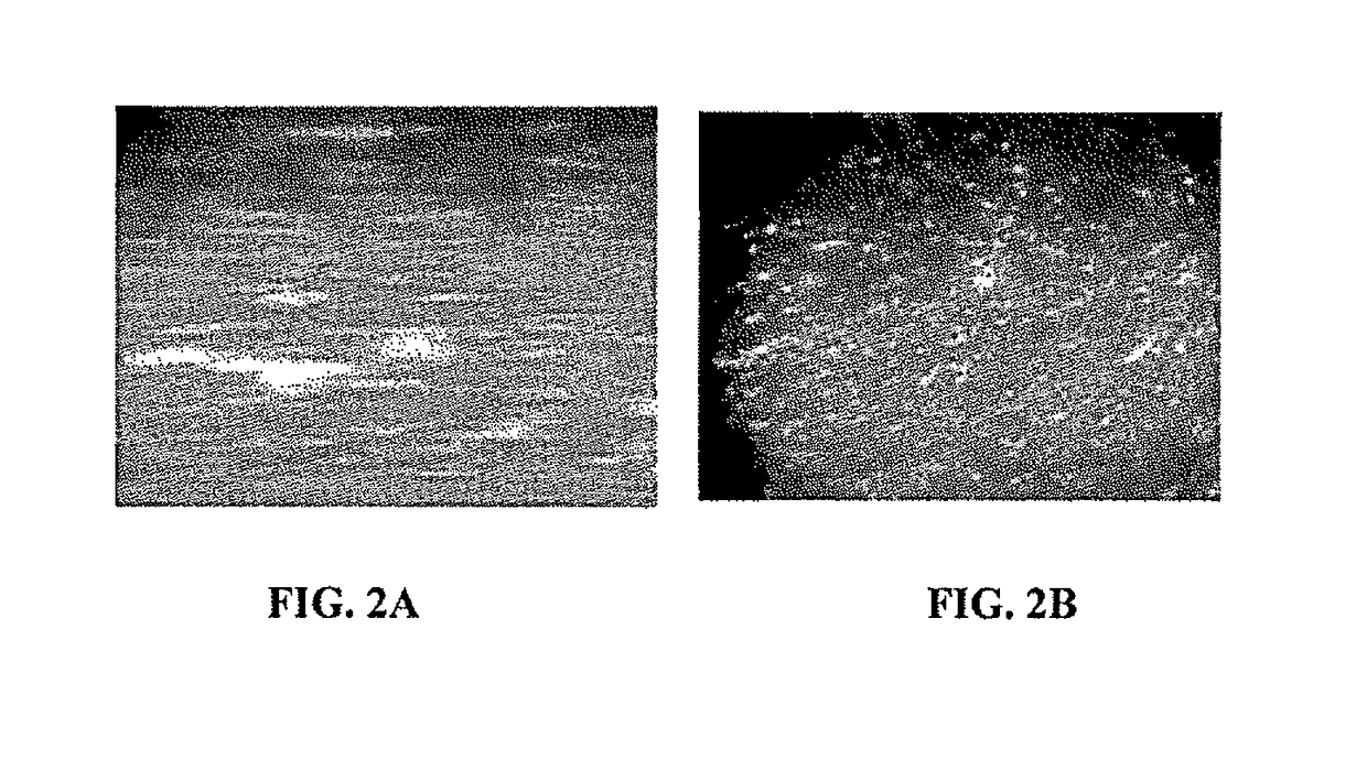 Systems for inspection of protein particles in a liquid beneficial agent