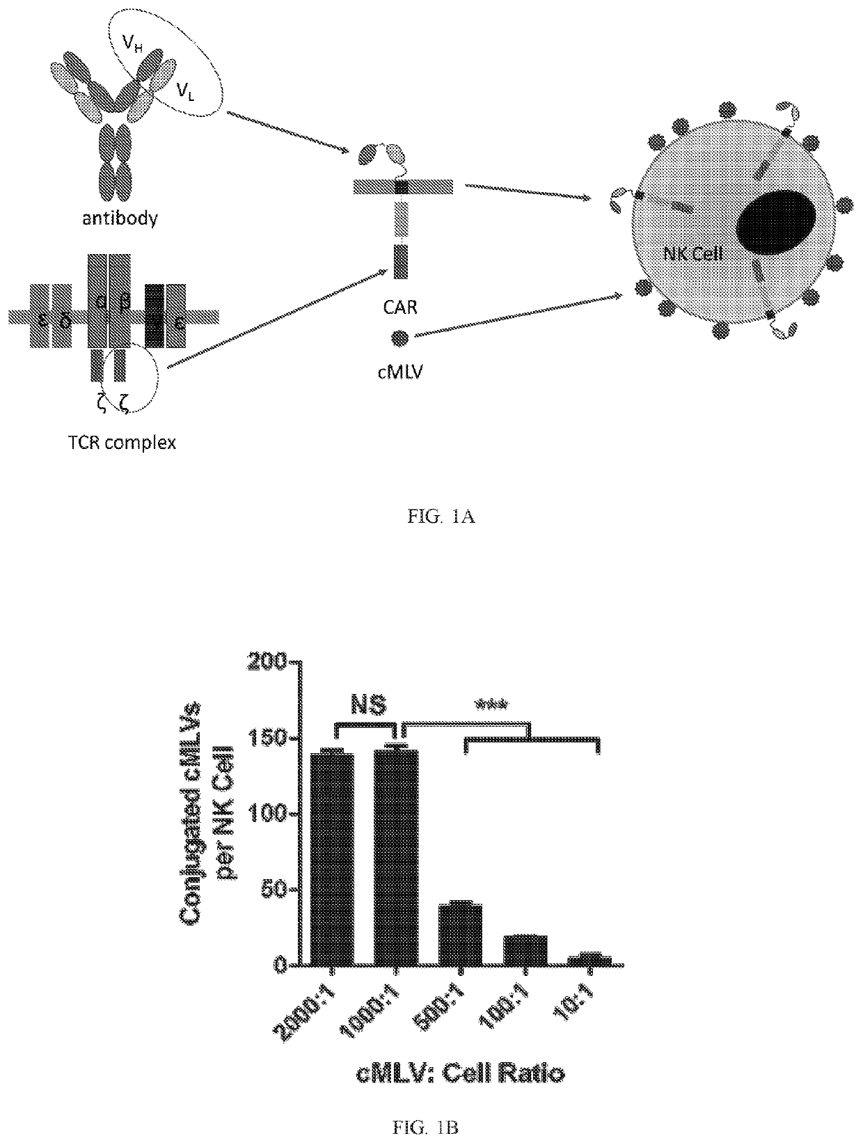 Combination cancer therapy using chimeric antigen receptor engineered natural killer cells as chemotherapeutic drug carriers