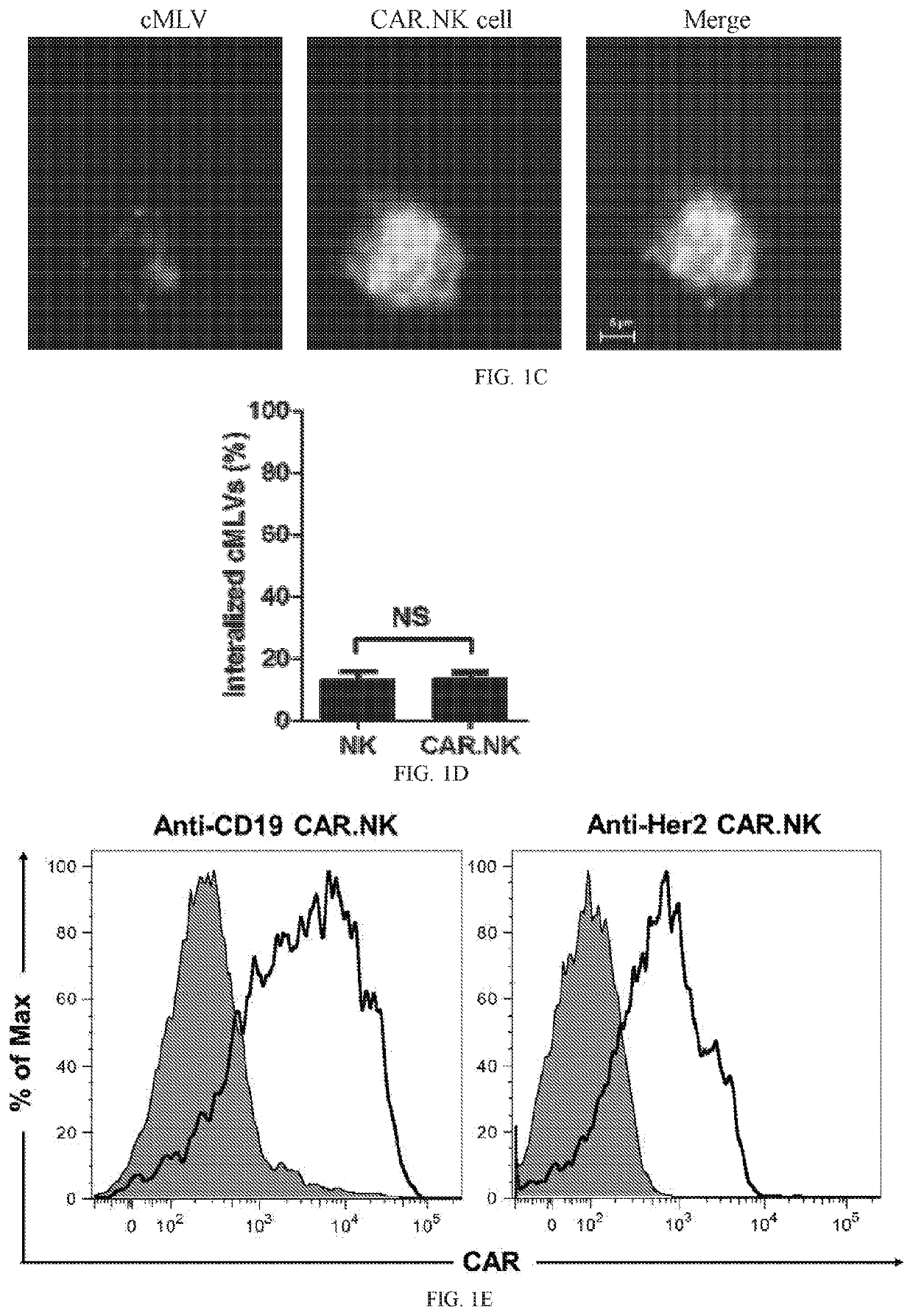 Combination cancer therapy using chimeric antigen receptor engineered natural killer cells as chemotherapeutic drug carriers
