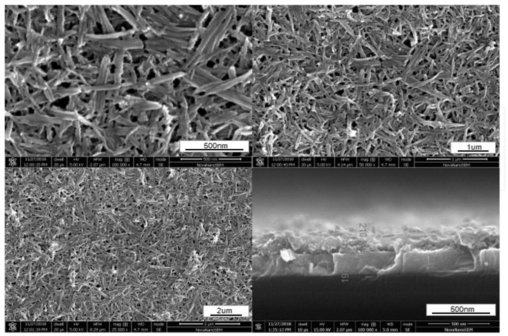 A kind of perylene imide derivative self-assembled thin film and its preparation method and application