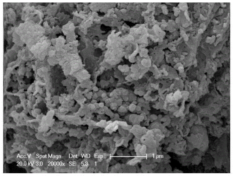 Nitrogen-doped carbon nanotube/ carbonitride composite material preparation method and application