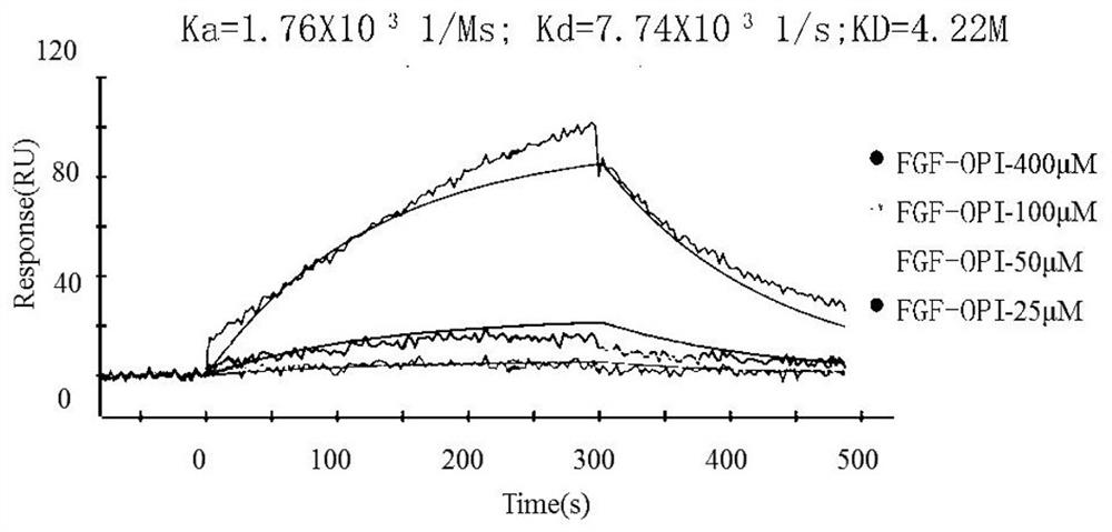 Polypeptide analogue with hair growth effect as well as preparation method and application