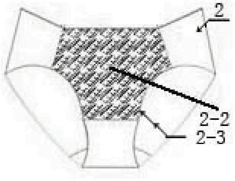 Shaping combined underwear in combination with menstrual cycle of women and wearing method thereof