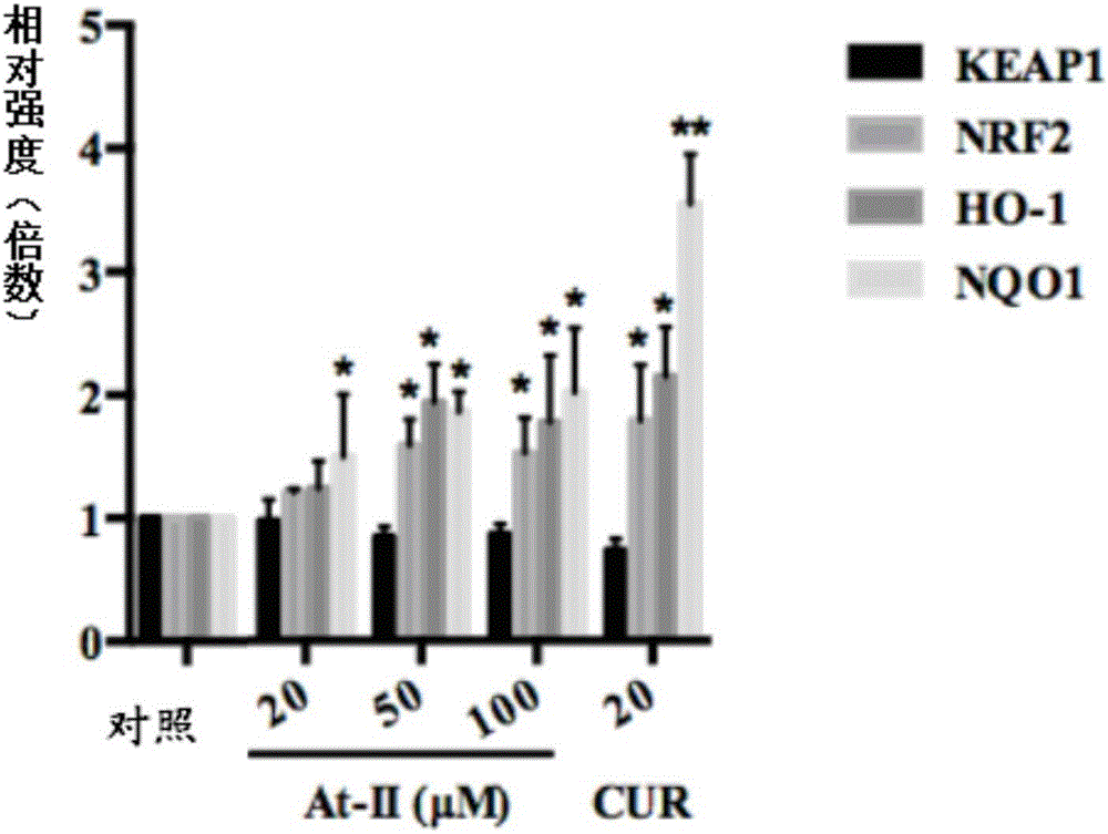 NRF2 activator compound, drugs and new application of atractylenolide II
