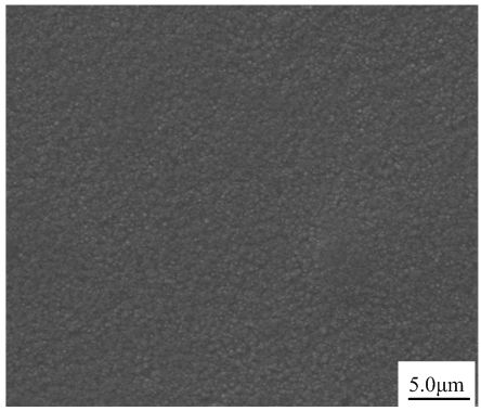 Method for preparing nano composite plating layer