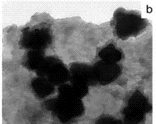Preparation method and application of ternary nano composite of reduced graphene oxide, iron(II,III) oxide and polyaniline