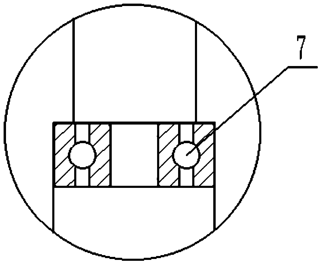 Method and device for acquiring and collecting egg masses of predatory ladybirds