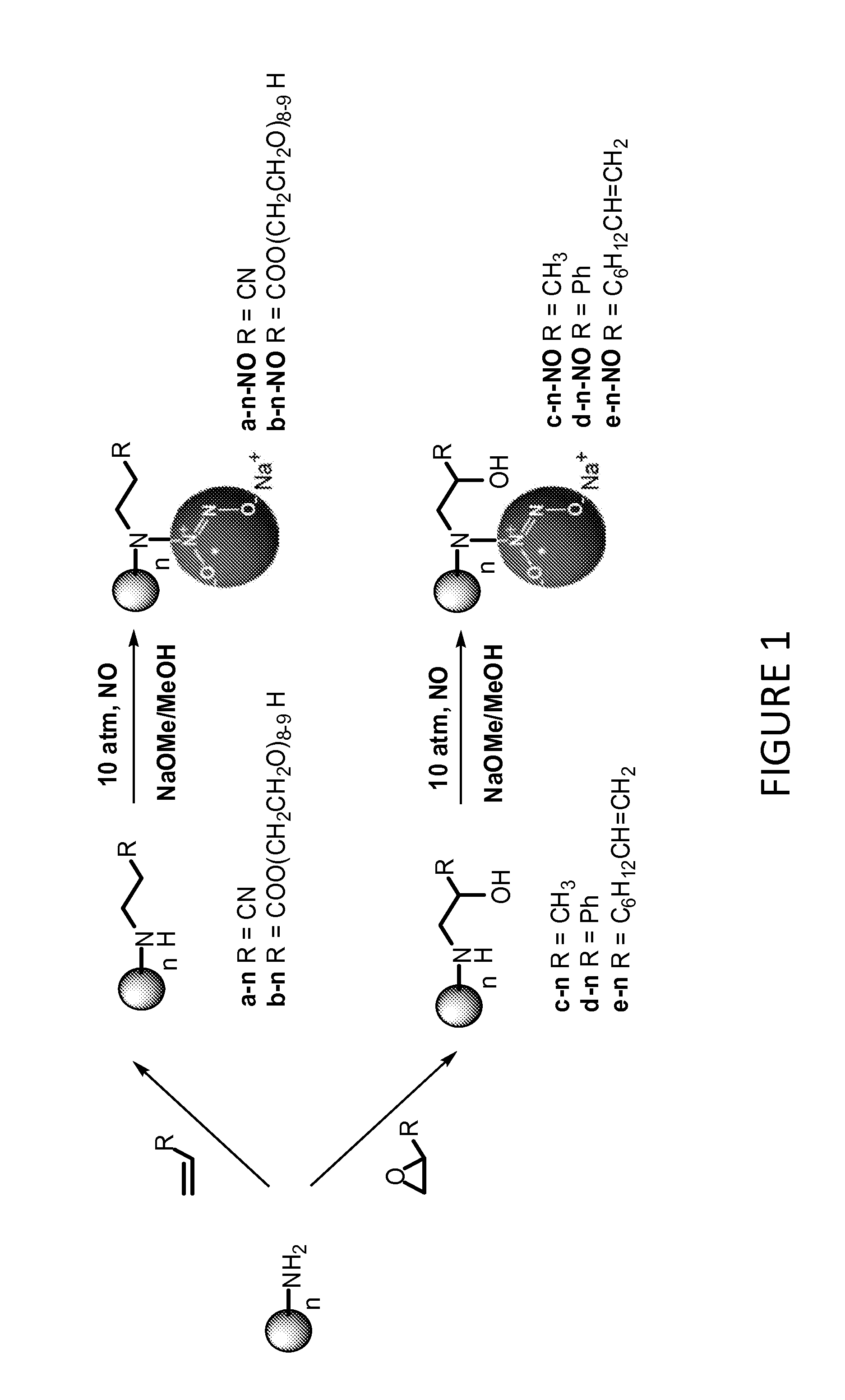 Tunable nitric oxide-releasing macromolecules having multiple nitric oxide donor structures