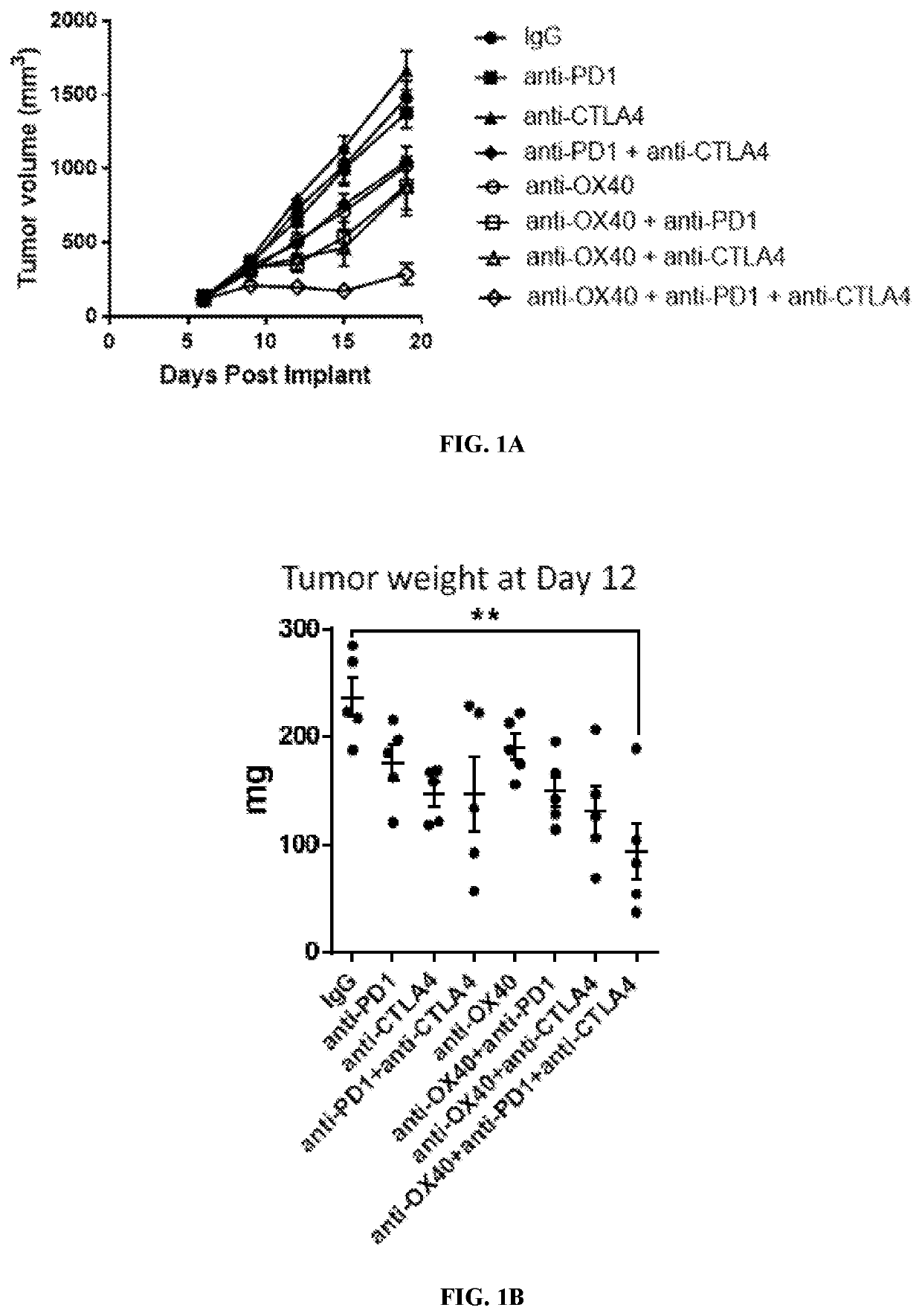 Ox-40 agonist, pd-1 pathway inhibitor and ctla-4 inhibitor combination for use in a method of treating a cancer  or a solid tumor